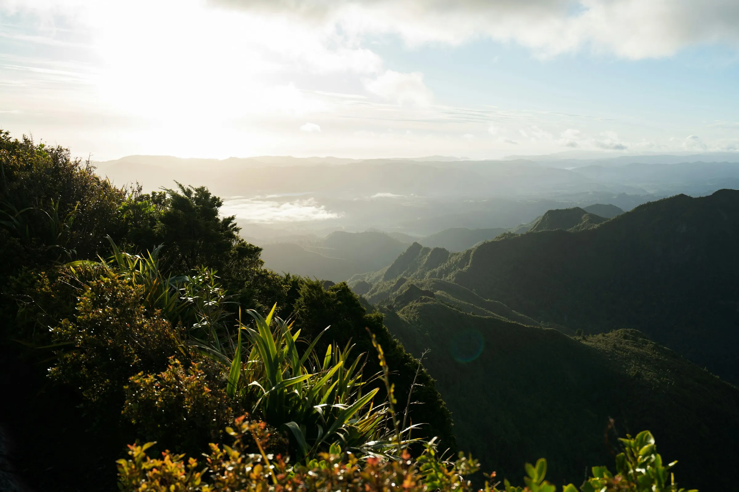 Sunlight falls over native bush and misty forested valleys around the Pinnacles