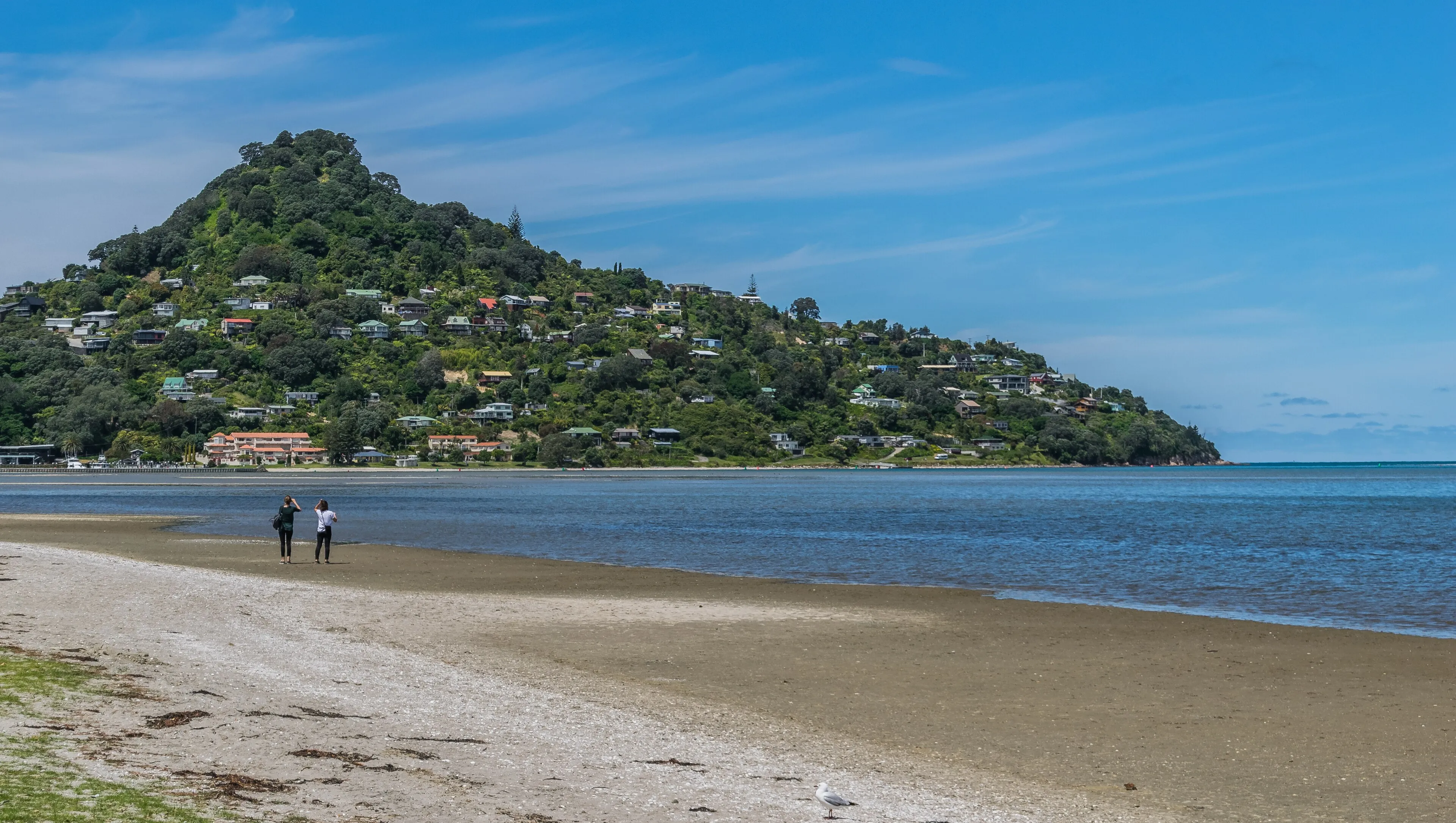 Mount Paku, a forested hill with houses on its slopes, above the sand and calm water at Tairua