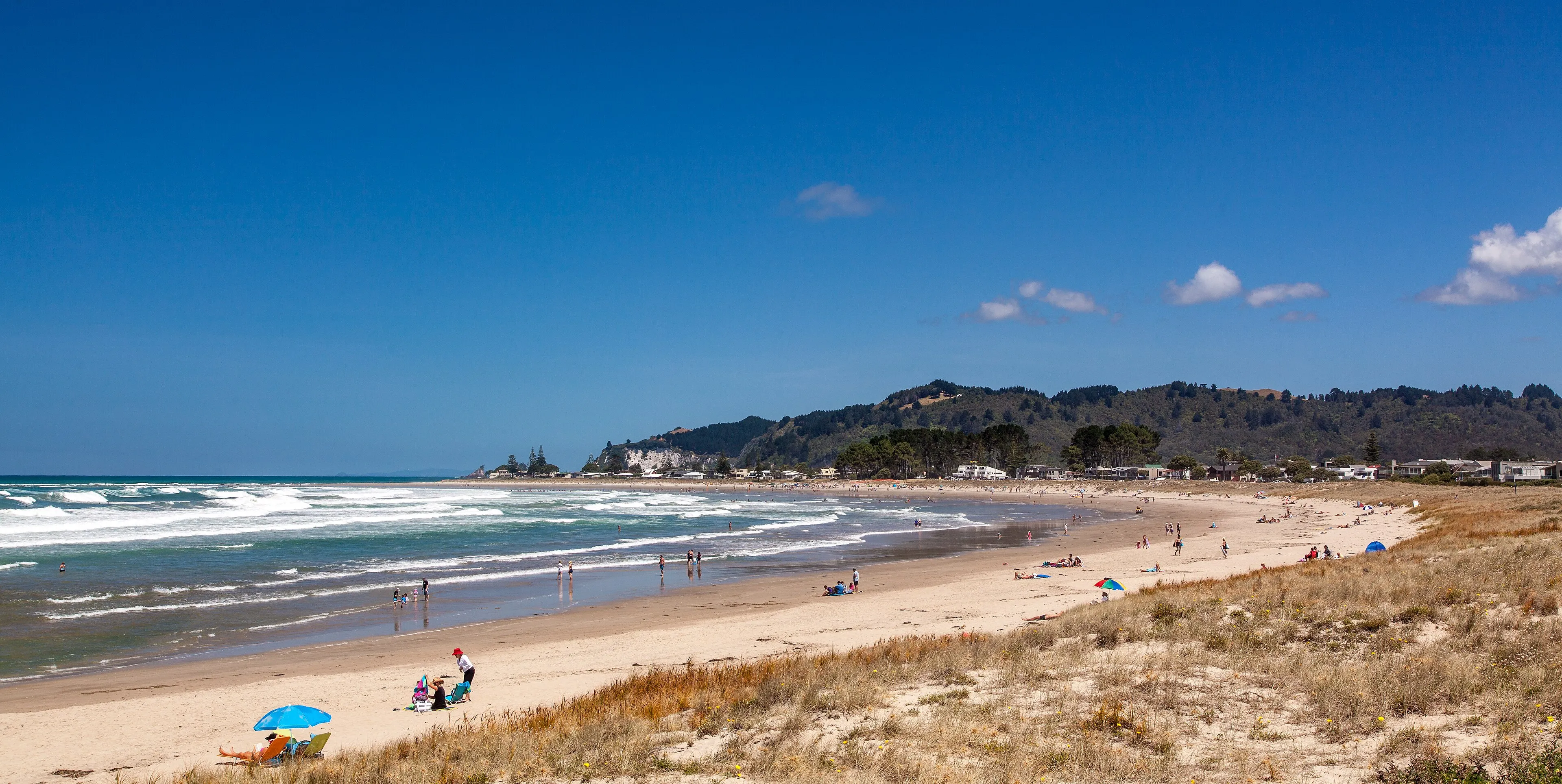 Whangamatā Beach, a long curve of sand with surf rolling in on a bright day
