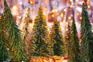 Christmas tree forest and Santa Grotto