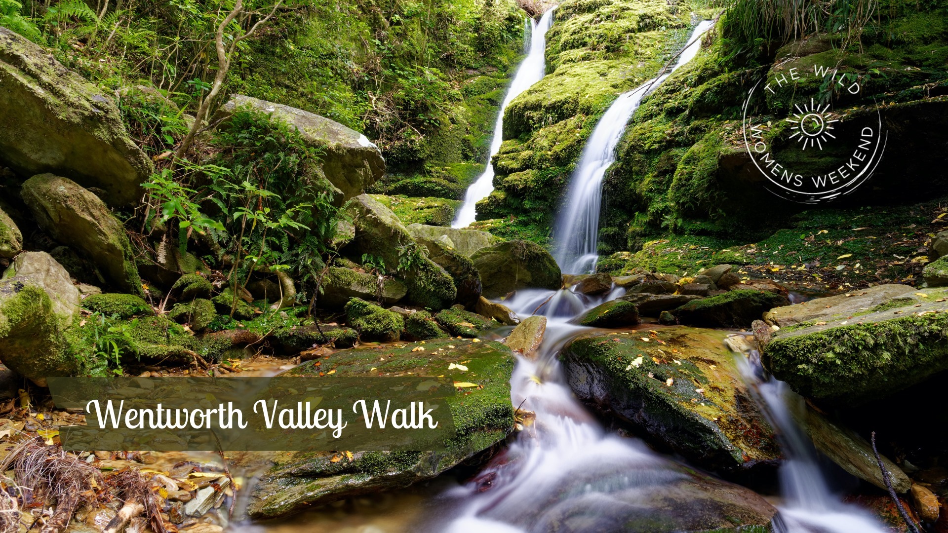 Wentworth Valley Walk Coromandel's CFM