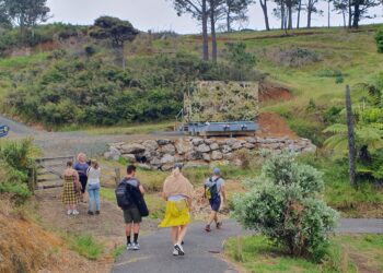 Cathedral Cove Track Is Again Open