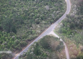 NZTA Tell Us The Reason For Closing SH25A – Hear Our Interview