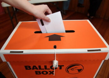 Local Elections – Voting Closes 12pm Today – Provisional Results from mid afternoon