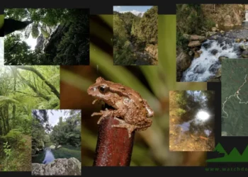 Watchdog Rally to Challenge Mine Decision