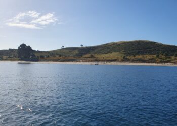 Mixed Reaction to Marine Protection Advice