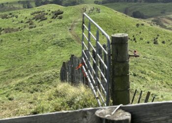Waerenga Community Horse Trek