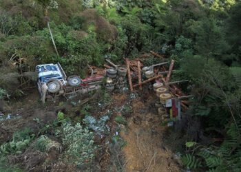 Widow’s plea after Coromandel forestry truck death
