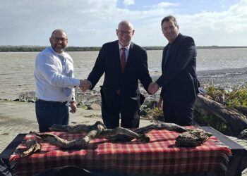 Thumbs Up For Recommended Unitary Council